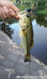 �֥�å��Х�