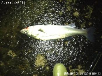 �����Х�