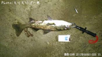 �����Х�