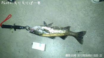 �����Х�