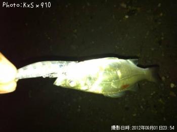 �����Х�