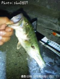 ¥Ö¥é¥Ã¥¯¥Ð¥¹