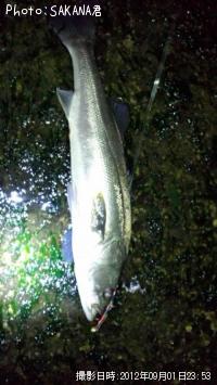 �����Х�