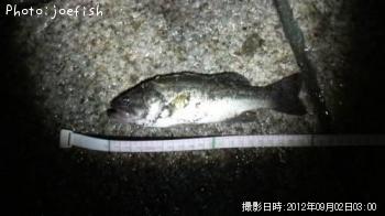 �֥�å��Х�