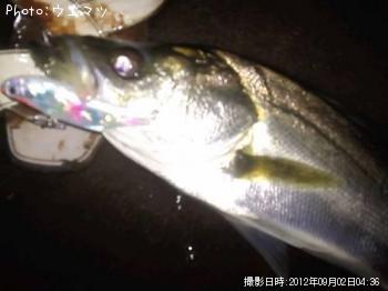 �����Х�