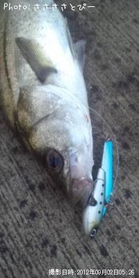 �����Х�