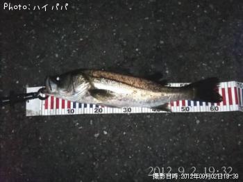 �����Х�