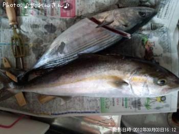 ����ѥ��λҥϥ��ĥ�