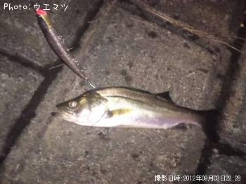 �����Х�