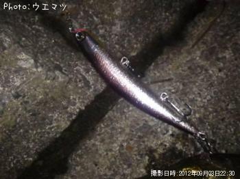 �����Х�