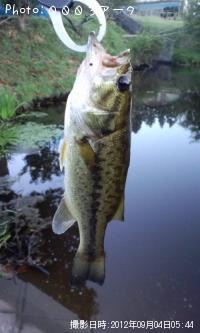 ¥Ö¥é¥Ã¥¯¥Ð¥¹