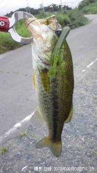 �֥�å��Х�