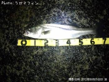 �����Х�