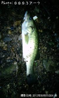 ¥Ö¥é¥Ã¥¯¥Ð¥¹