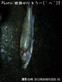 �����Х�