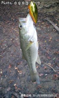 �֥�å��Х�