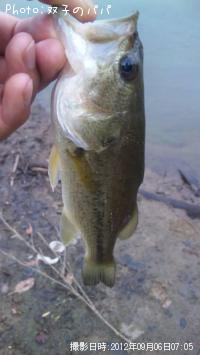 ¥Ö¥é¥Ã¥¯¥Ð¥¹