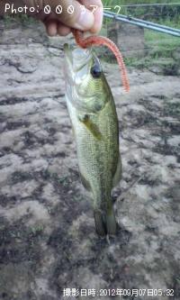 �֥�å��Х�