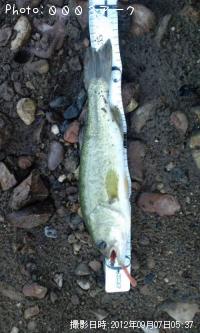 �֥�å��Х�