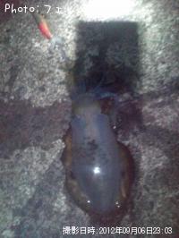 �����ꥤ��