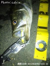 �����Х�