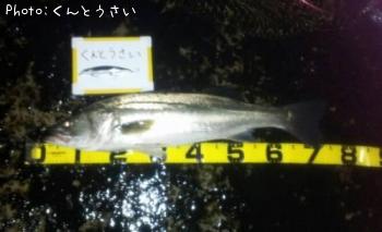 �����Х�