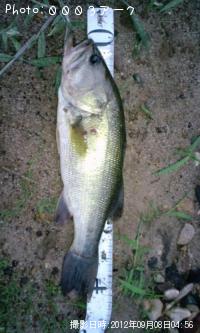 �֥�å��Х�