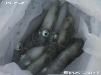 �����ꥤ��