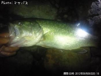 �֥�å��Х�