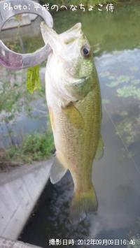 �֥�å��Х�