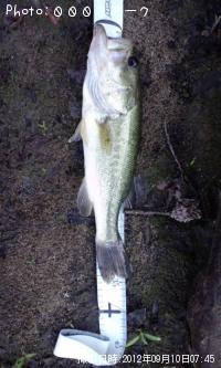 �֥�å��Х�