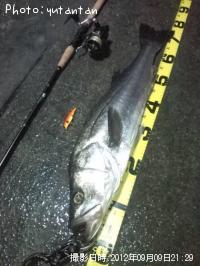 �����Х�