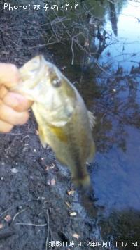 ¥Ö¥é¥Ã¥¯¥Ð¥¹