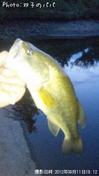 �֥�å��Х�