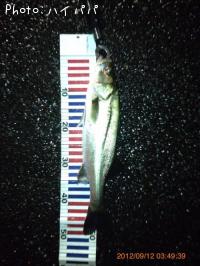 �����Х�