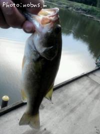 �֥�å��Х�