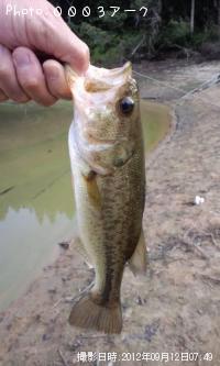 �֥�å��Х�