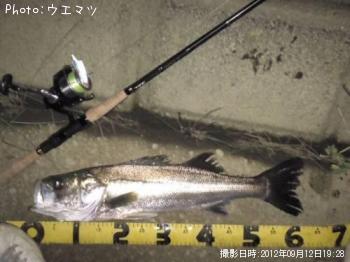 �����Х�