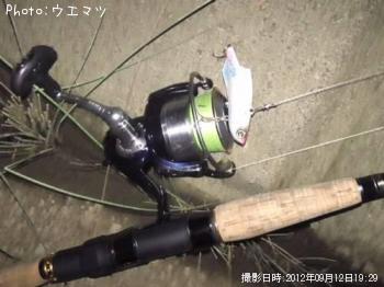 �����Х�