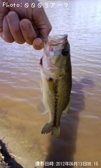 �֥�å��Х�