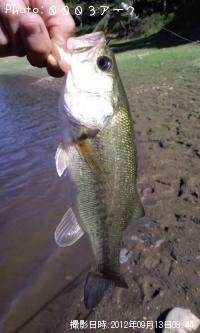 �֥�å��Х�