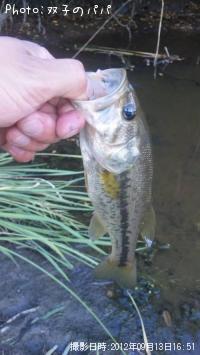 �֥�å��Х�