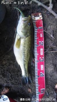 �֥�å��Х�