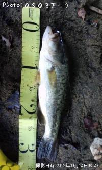 ¥Ö¥é¥Ã¥¯¥Ð¥¹