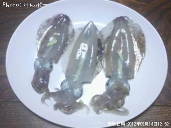 ¥¢¥ª¥ê¥¤¥«