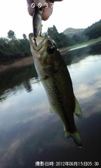 �֥�å��Х�