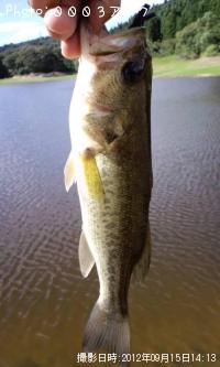 �֥�å��Х�