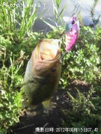 �֥�å��Х�