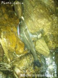 �����Х�