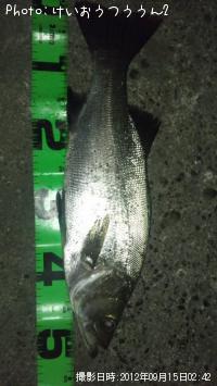 �ҥ饹����